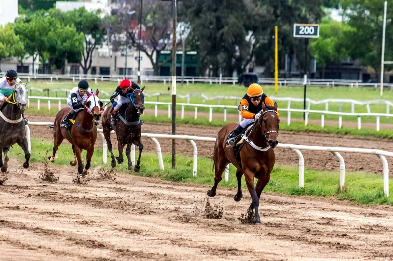 Domingo primaveral con 9 emocionantes carreras